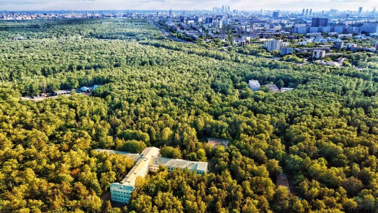 Жилые дома в парке `Лосиный остров`